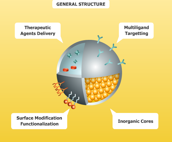 Figure three - general nanoparticles structure